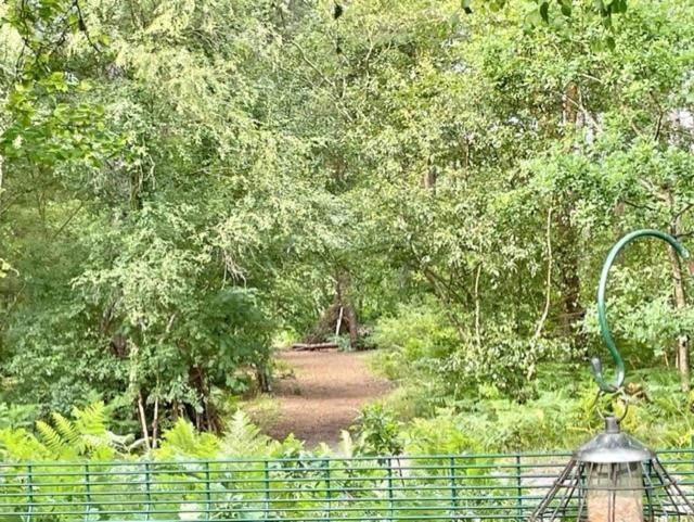 Forest View At Oakdene Forest Park - Leisure Passes Included! Рингвуд Экстерьер фото