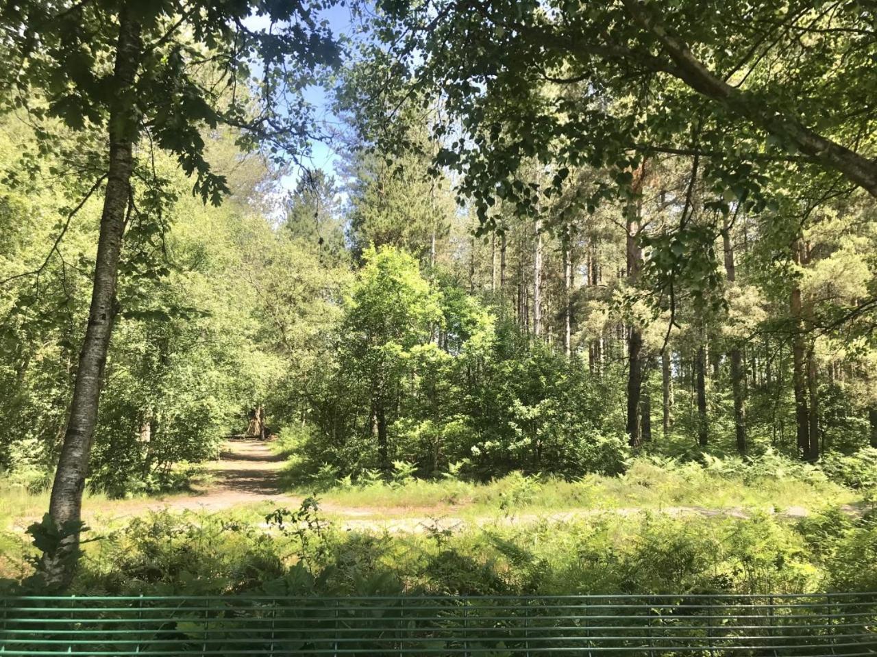 Forest View At Oakdene Forest Park - Leisure Passes Included! Рингвуд Экстерьер фото