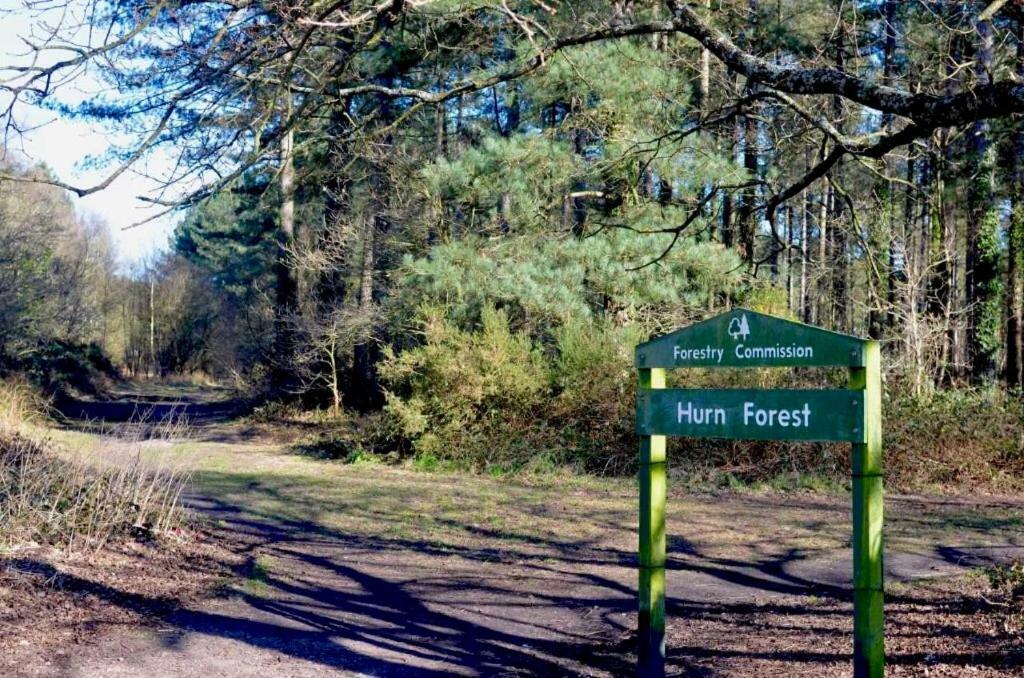 Forest View At Oakdene Forest Park - Leisure Passes Included! Рингвуд Экстерьер фото